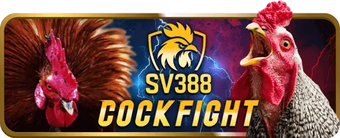 Chiến lược cá cược thể thao 18bet win